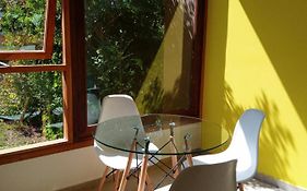 casita moderna frente al bosque